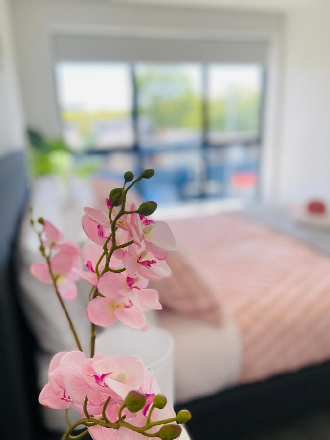 Walking Distance To Riverside Market & Hospital Christchurch Extérieur photo