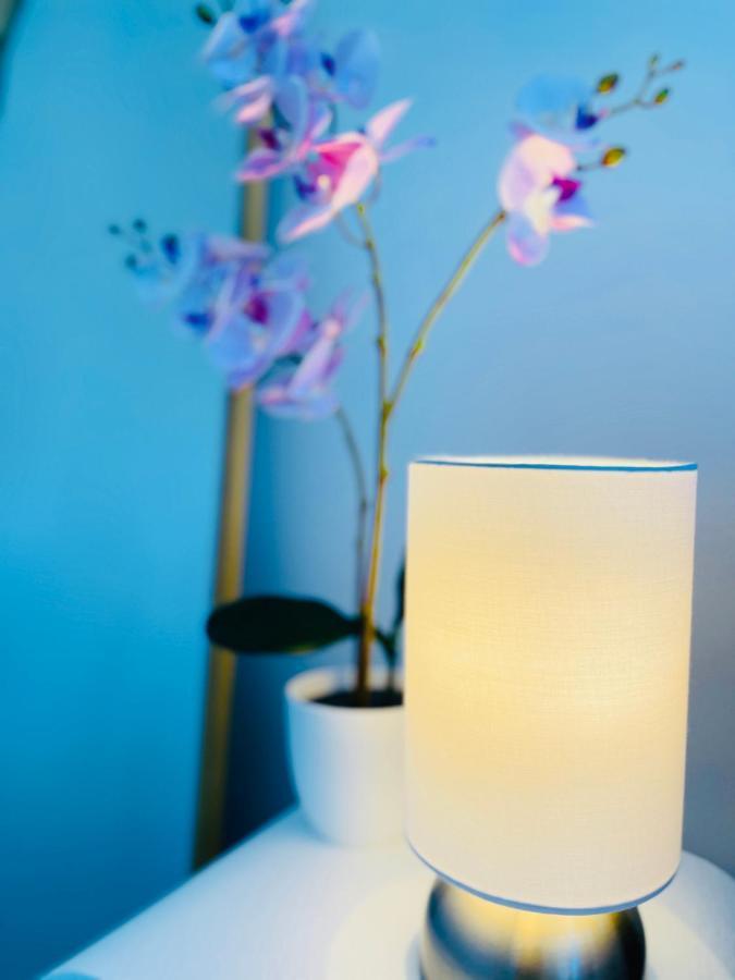 Walking Distance To Riverside Market & Hospital Christchurch Extérieur photo